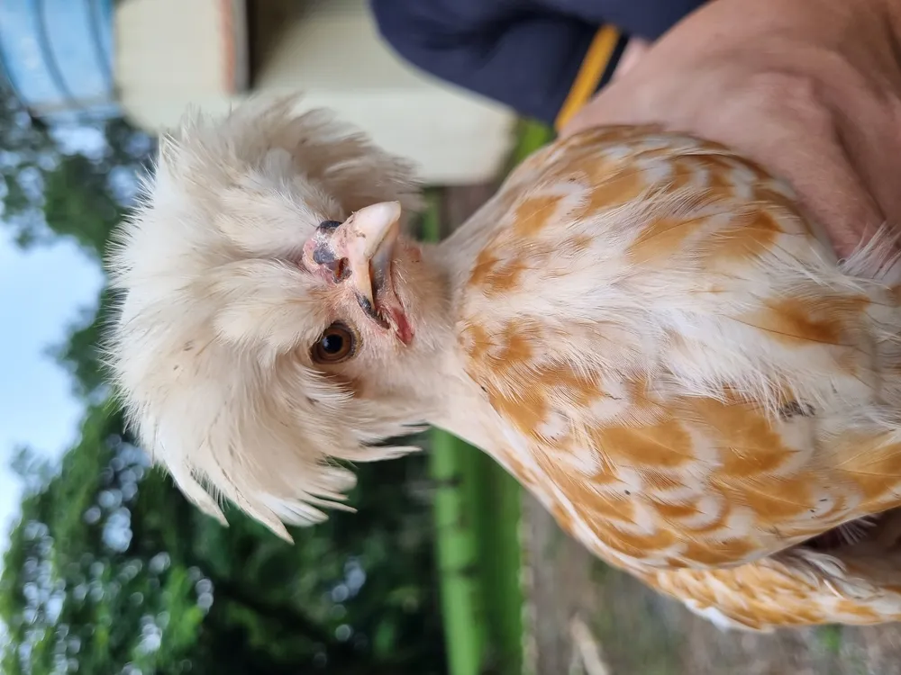 Rotina clínica