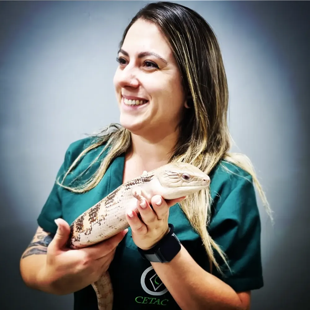 Rotina clínica na Komodo