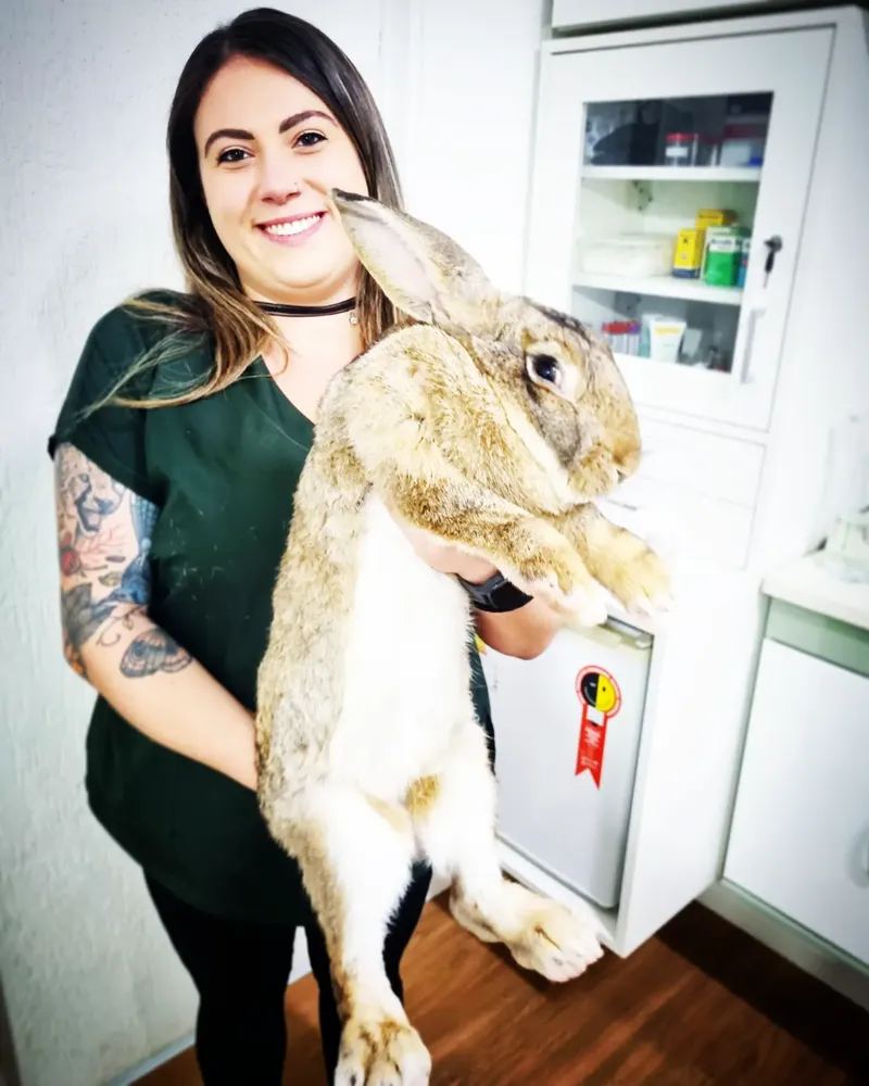 Rotina clínica