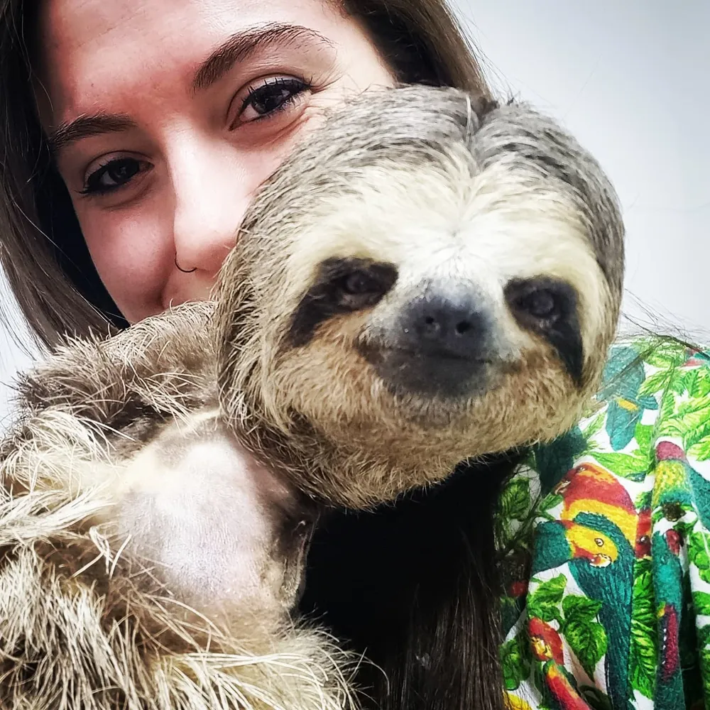 Rotina clínica na Komodo