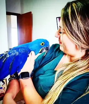 Rotina clínica na Komodo