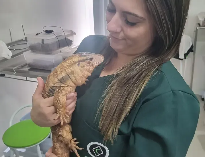 Rotina clínica na Komodo
